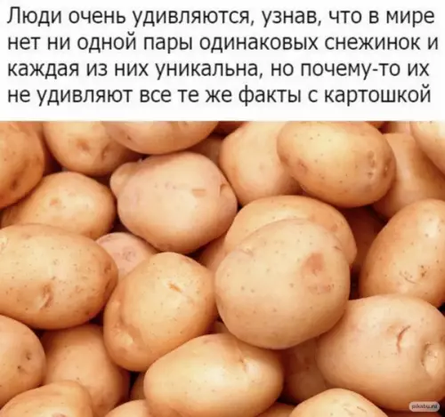 Смешная картинка №643264