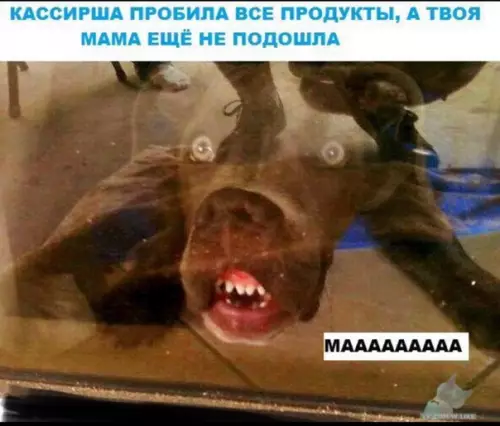 Смешная картинка №391894