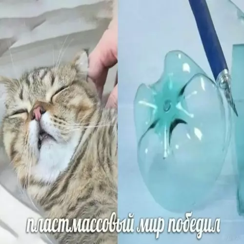 Смешная картинка №671476