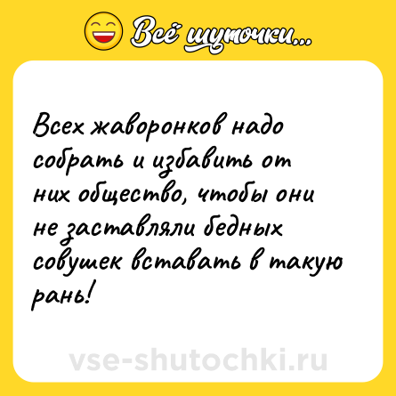 Шутка: Всех жаворонков надо собрать и избавить от них общество, чтобы они не заставляли бедных совушек вставать в такую рань!