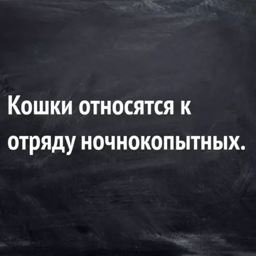Смешная картинка №278124