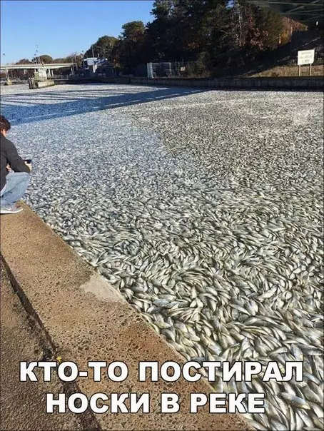 Смешная картинка №239248