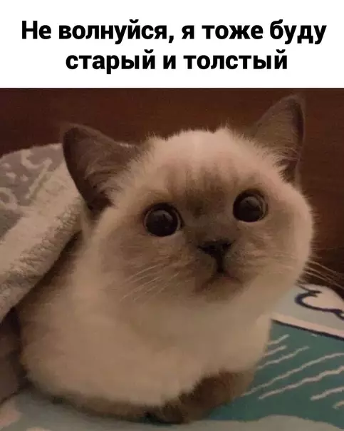 продолжение Смешная картинка №578848