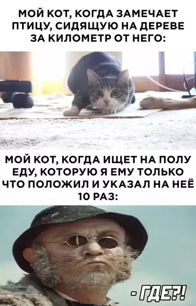 Смешная картинка №564725