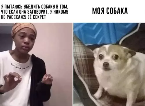 Смешная картинка №364067 не говори, что не было такой беседы
