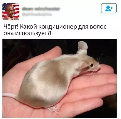 Смешная картинка №221401