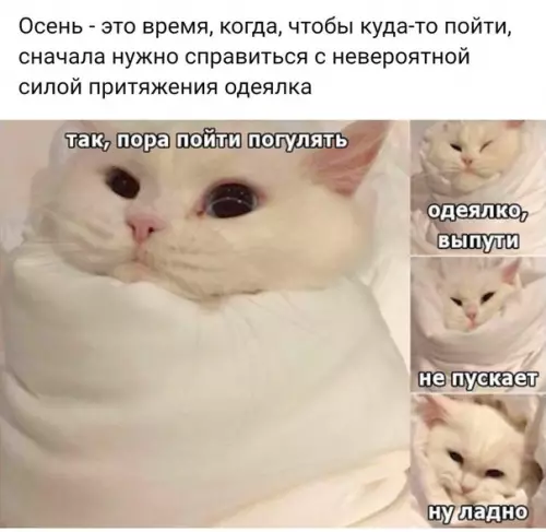 Смешная картинка №221480