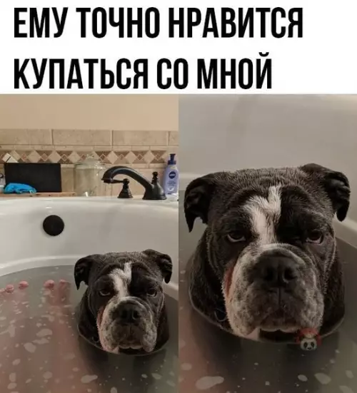 Смешная картинка №502948 Но по нему этого не видно ?