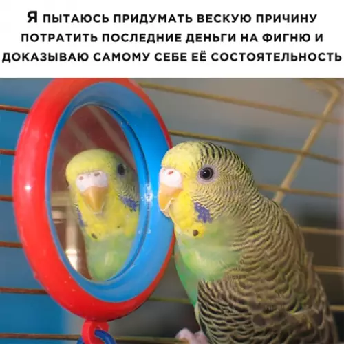 Смешная картинка №648635