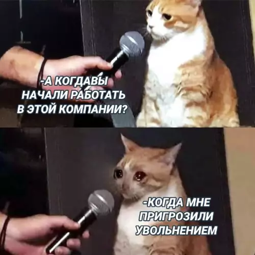 Смешная картинка №678101