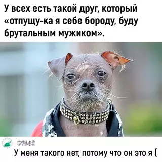 Смешная картинка №702280