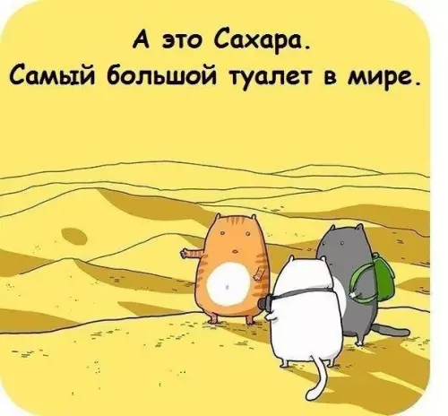 Смешная картинка №183849 коты