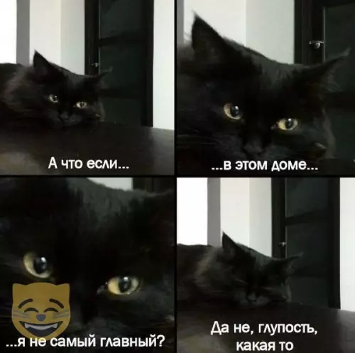 Смешная картинка №368559 #приколы #картинки #мемы ?