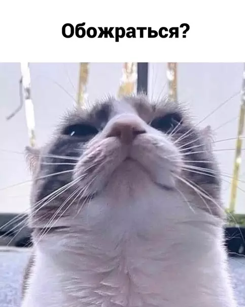 продолжение Смешная картинка №590212 Mepy нaдo знaть