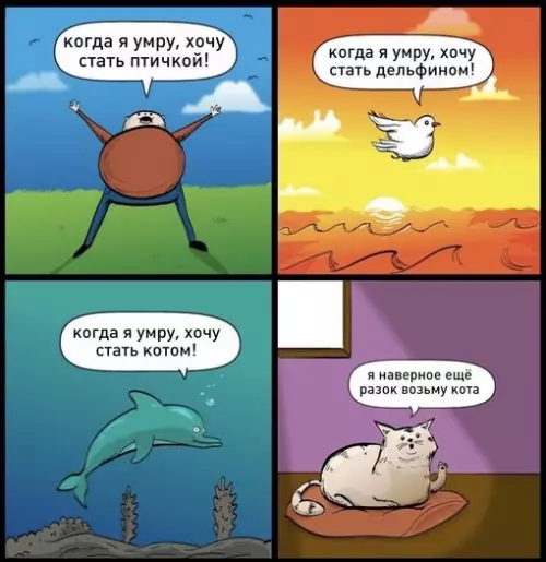 Смешная картинка №680983 Коты