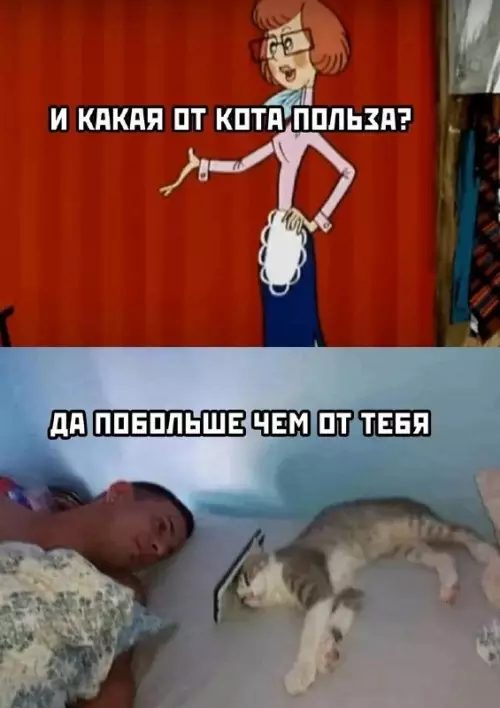 Смешная картинка №733511 Ржака  Мемы  Юмор