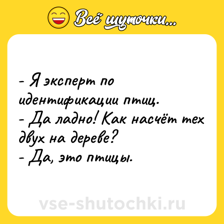 Шутка: - Я эксперт по идентификации птиц.<br>- Да ладно! Как насчёт тех двух на дереве?<br>- Да, это птицы.