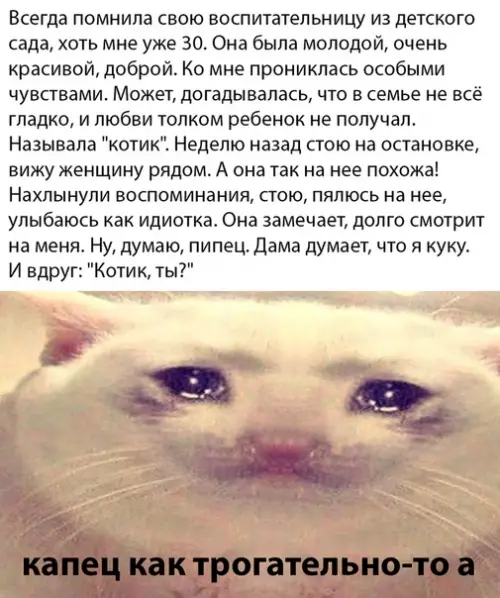 Смешная картинка №481284