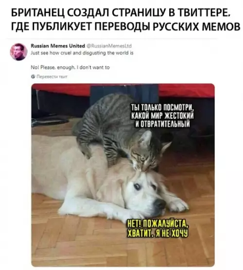Смешная картинка №314848 Обычно у нас всё с запада п*издят, но тут вышло наоборот
