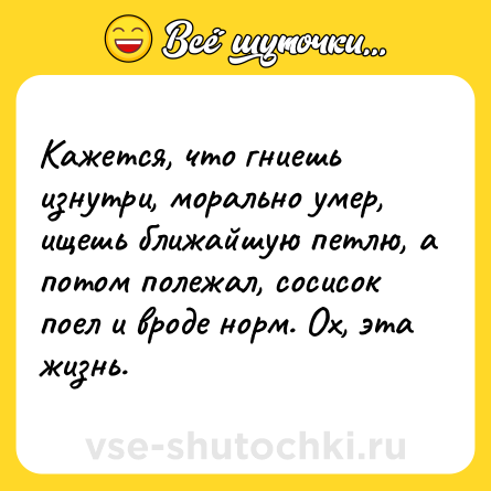 Шутка: Кажется, что гниешь изнутри, морально умер, ищешь ближайшую петлю, а потом полежал, сосисок поел и вроде норм. Ох, эта жизнь.