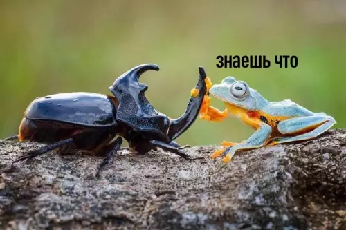 Смешная картинка №612701 Инoгдa xoчeтcя пpocтo...