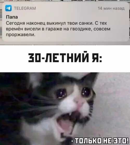Смешная картинка №531624