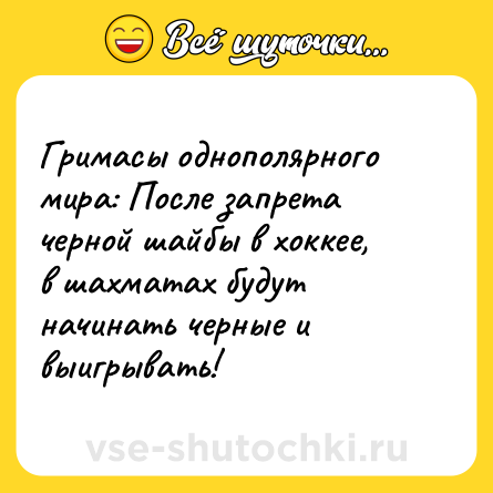 Шутка: Гримасы однополярного мира: После запрета черной шайбы в хоккее, в шахматах будут начинать черные и выигрывать!