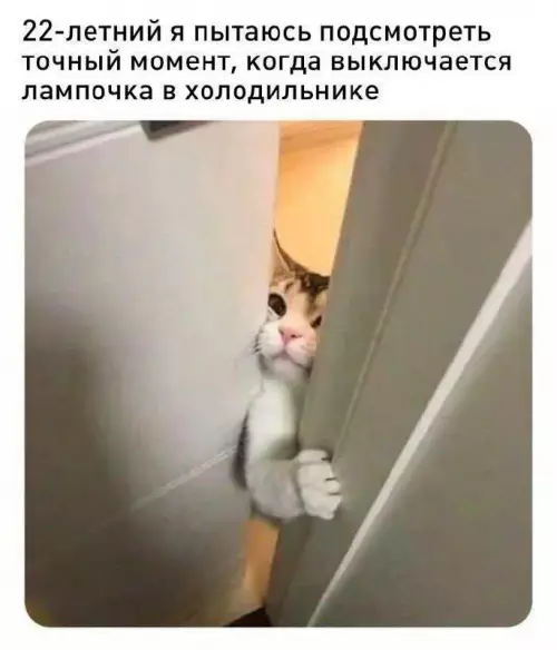 Смешная картинка №688775