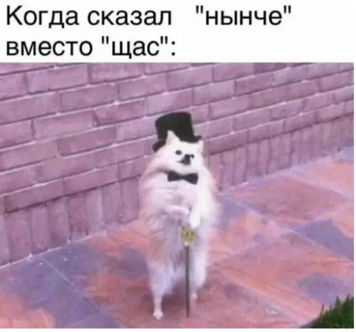 Смешная картинка №315607