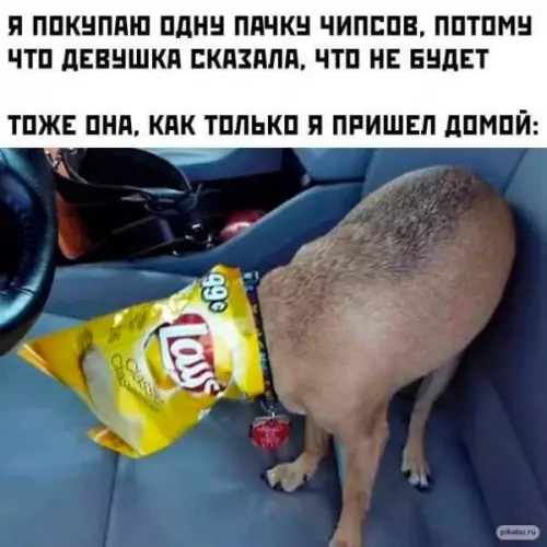 Смешная картинка №649681