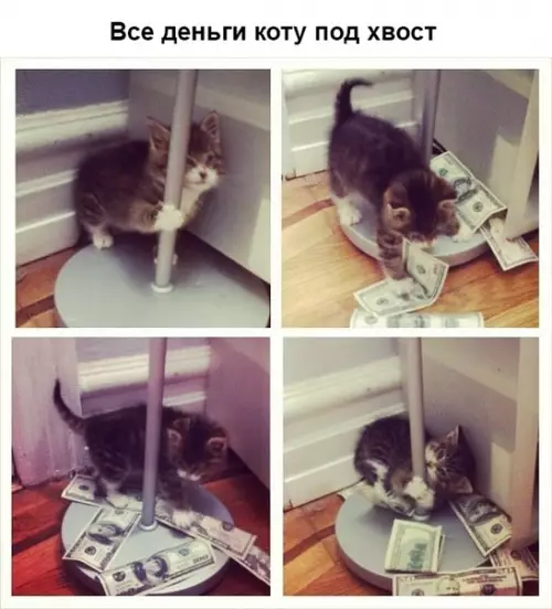 Смешная картинка №345624