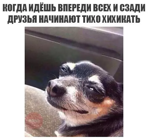 Смешная картинка №227990