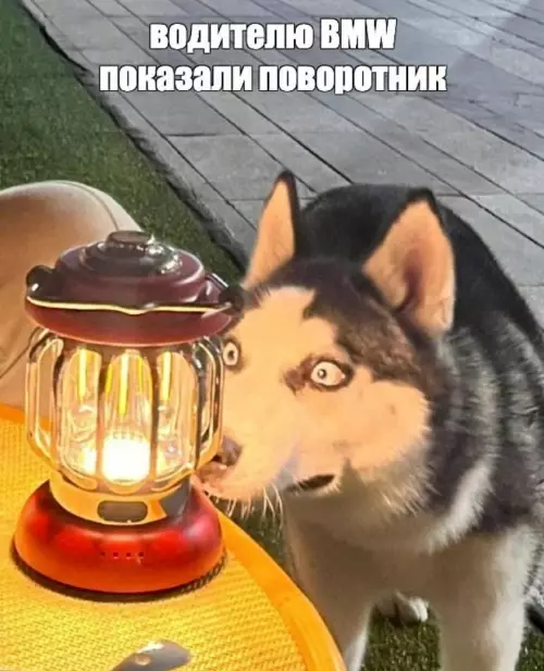 Смешная картинка №774841