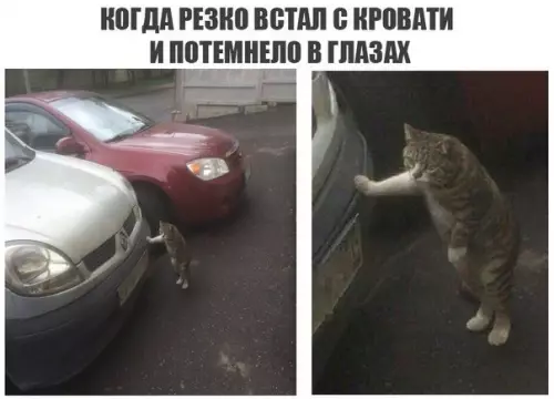 Смешная картинка №221448
