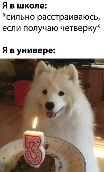 Смешная картинка №620984 студенты