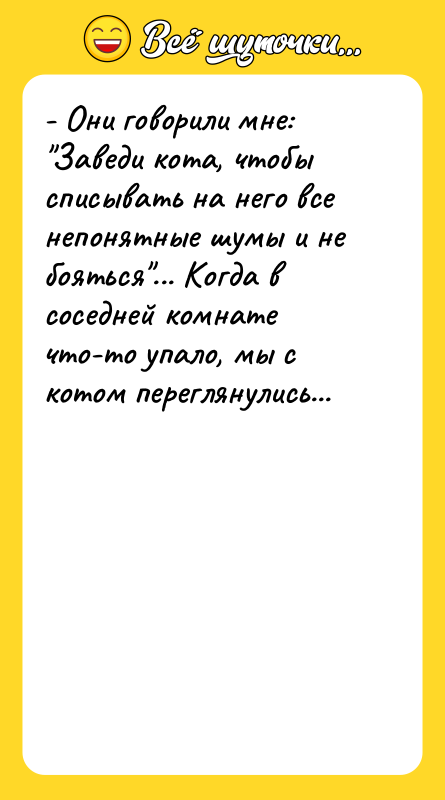 - Они говорили мне: "Заведи кота, чтобы списывать на него
