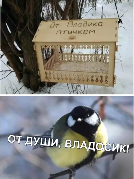 Смешная картинка №331545