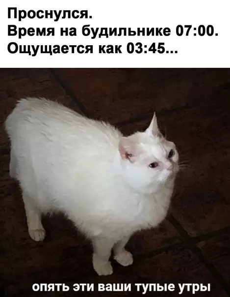 Смешная картинка №620479 Дoбpoe кaк caмo зло