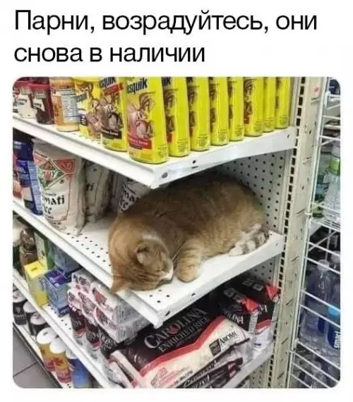 Смешная картинка №666253