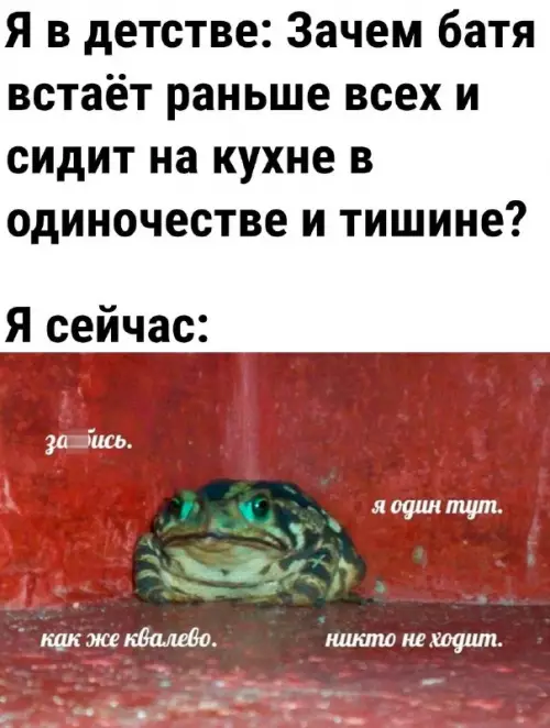Смешная картинка №728122 Ржака  Мемы  Юмор батя