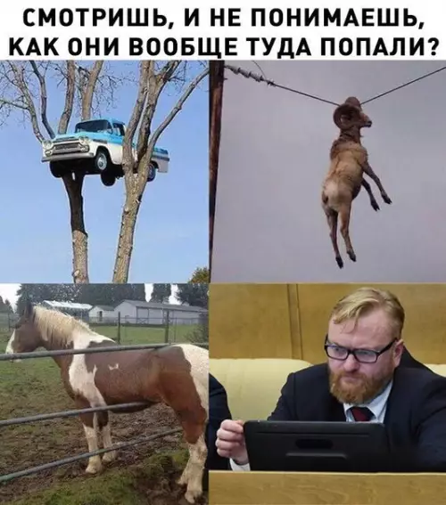 Смешная картинка №270539