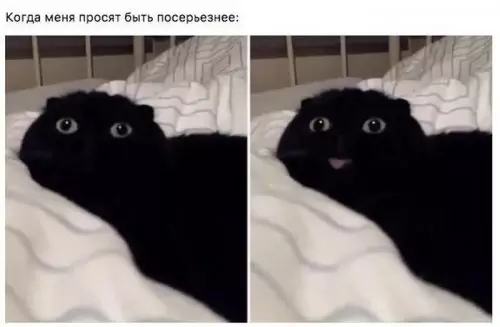 Смешная картинка №301476
