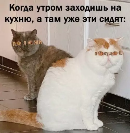 Смешная картинка №649545