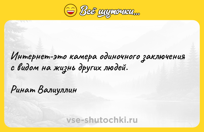Цитата: Интернет-это камера одиночного заключения с видом на жизнь других людей. Ринат Валиуллин