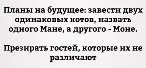 Смешная картинка №262448