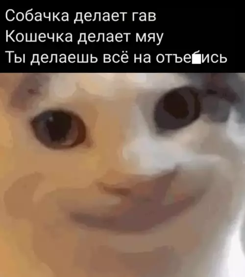 Смешная картинка №804874