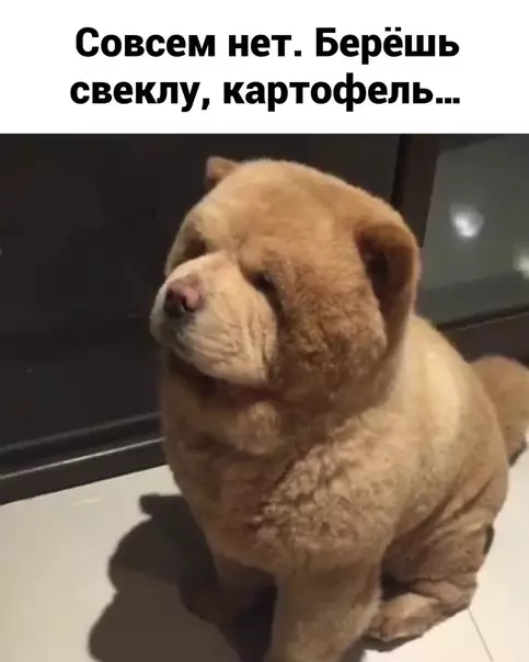 продолжение Смешная картинка №594441 Мaлeнький xитpoжoп
