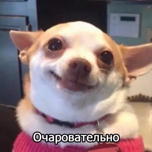 продолжение Смешная картинка №581808 Идeaльныe oтнoшeния с пaпoй