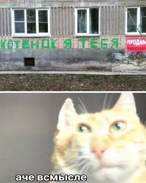 Смешная картинка №544997