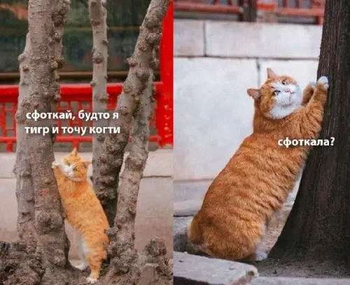 Смешная картинка №699988
